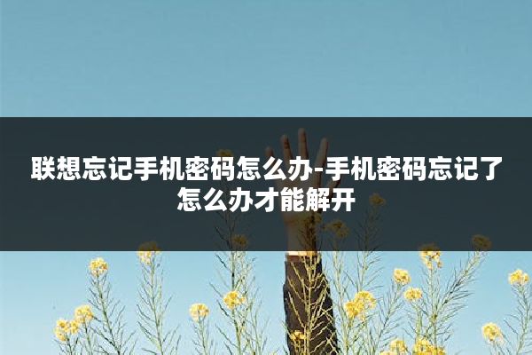 联想忘记手机密码怎么办-手机密码忘记了怎么办才能解开