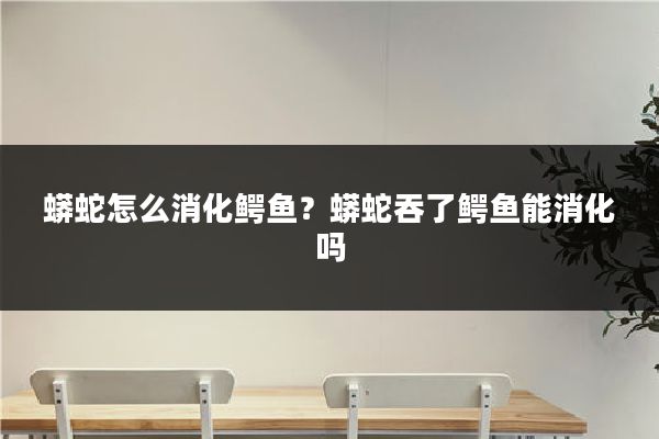 蟒蛇怎么消化鳄鱼?蟒蛇吞了鳄鱼能消化吗