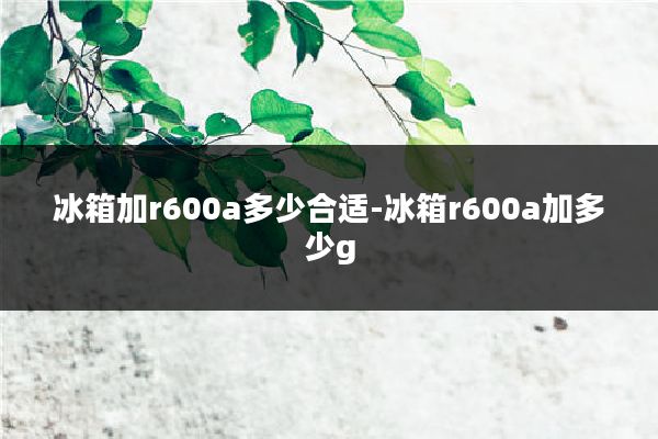 冰箱加r600a多少合适-冰箱r600a加多少g