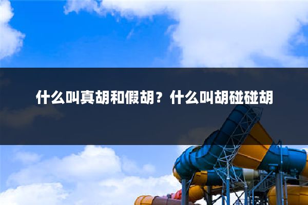什么叫真胡和假胡?什么叫胡碰碰胡