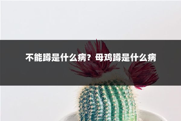 不能蹲是什么病？母鸡蹲是什么病