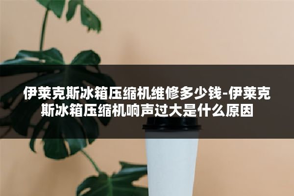 伊莱克斯冰箱压缩机维修多少钱-伊莱克斯冰箱压缩机响声过大是什么原因