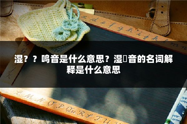 湿？？鸣音是什么意思？湿啰音的名词解释是什么意思
