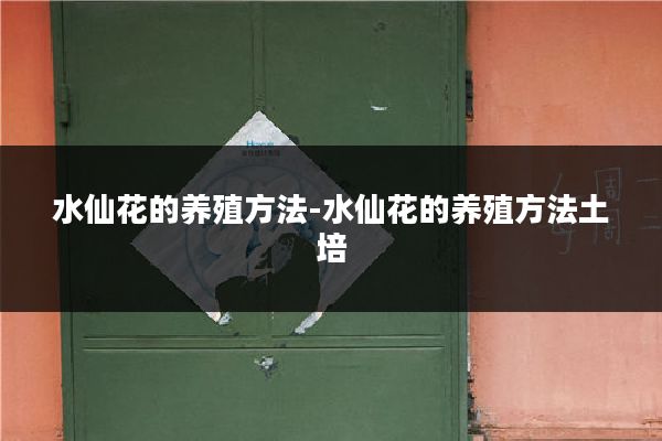 水仙花的养殖方法-水仙花的养殖方法土培