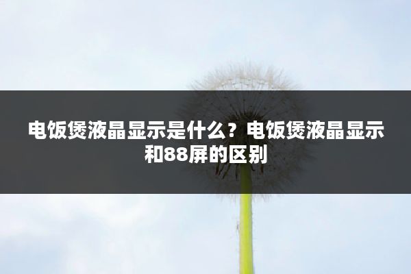 电饭煲液晶显示是什么?电饭煲液晶显示和88屏的区别