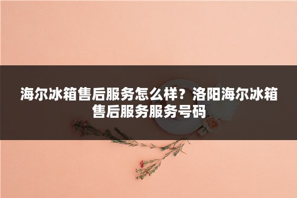 海尔冰箱售后服务怎么样?洛阳海尔冰箱售后服务服务号码