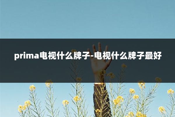 prima电视什么牌子-电视什么牌子最好