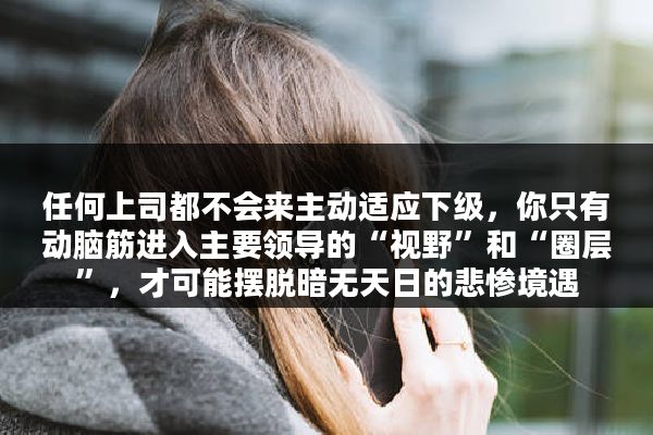 任何上司都不会来主动适应下级，你只有动脑筋进入主要领导的“视野”和“圈层”，才可能摆脱暗无天日的悲惨境遇