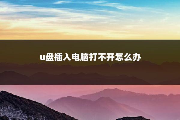 u盘插入电脑打不开怎么办