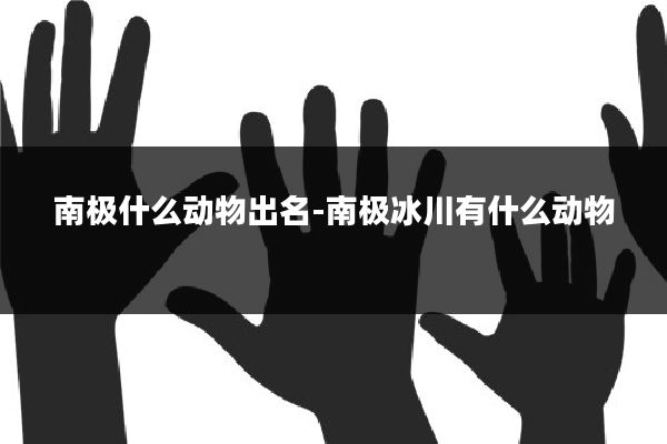 南极什么动物出名-南极冰川有什么动物