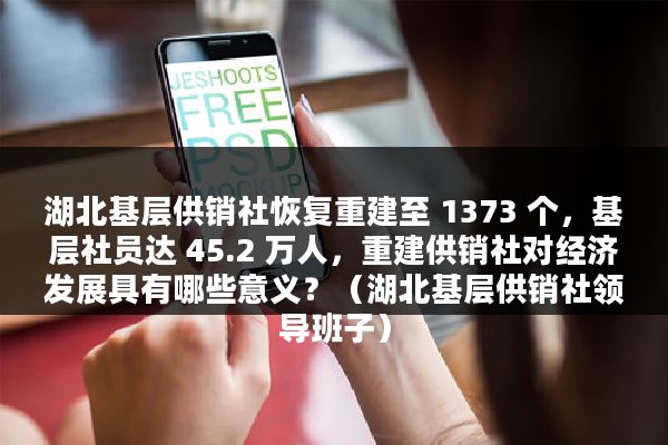 湖北基层供销社恢复重建至 1373 个，基层社员达 45.2 万人，重建供销社对经济发展具有哪些意义？（湖北基层供销社领导班子）