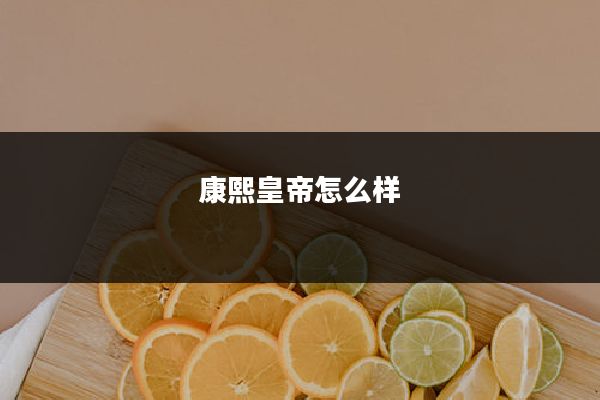 康熙皇帝怎么样