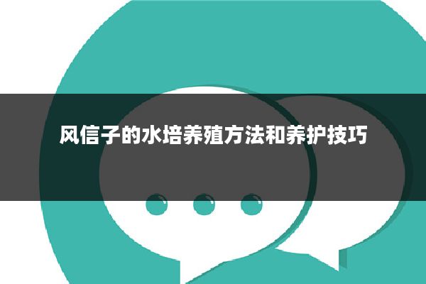 风信子的水培养殖方法和养护技巧