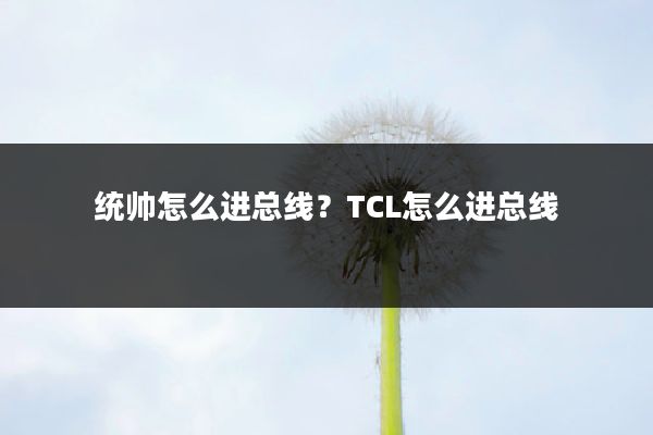统帅怎么进总线?TCL怎么进总线