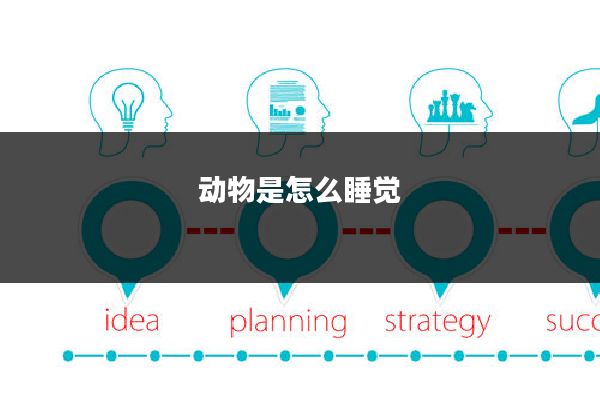 动物是怎么睡觉