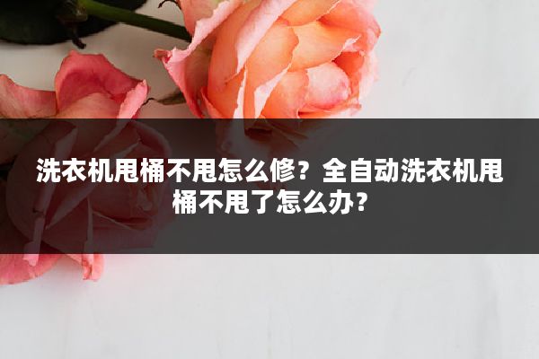 洗衣机甩桶不甩怎么修?全自动洗衣机甩桶不甩了怎么办?
