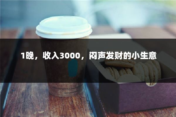 1晚，收入3000，闷声发财的小生意