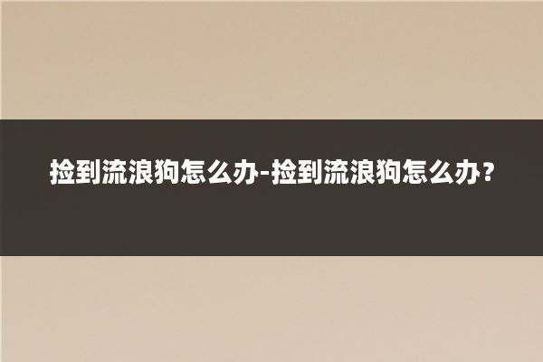 捡到流浪狗怎么办-捡到流浪狗怎么办?