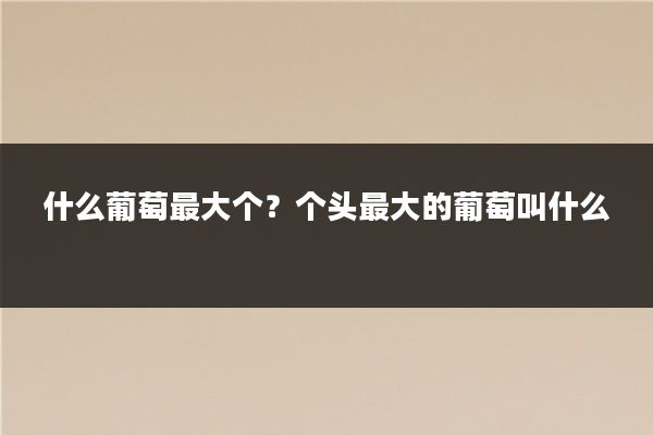 什么葡萄最大个？个头最大的葡萄叫什么