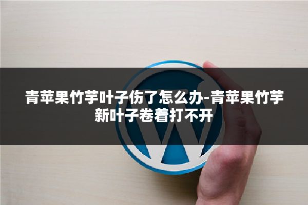 青苹果竹芋叶子伤了怎么办-青苹果竹芋新叶子卷着打不开