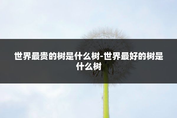 世界最贵的树是什么树-世界最好的树是什么树