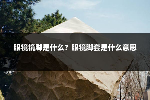 眼镜镜脚是什么?眼镜脚套是什么意思