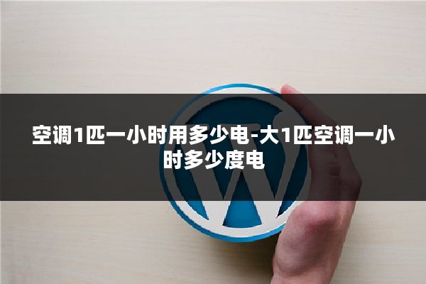 空调1匹一小时用多少电-大1匹空调一小时多少度电