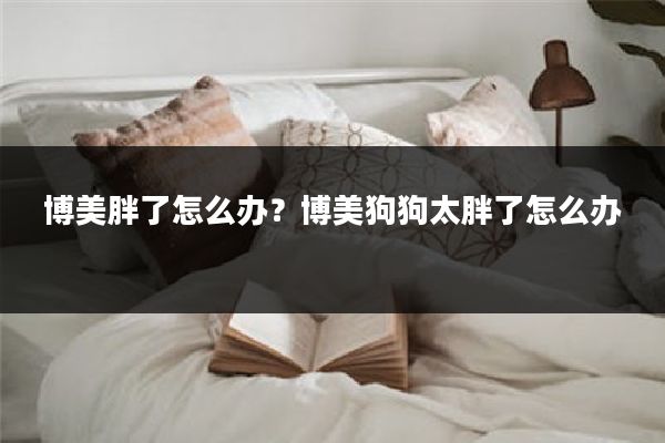 博美胖了怎么办?博美狗狗太胖了怎么办