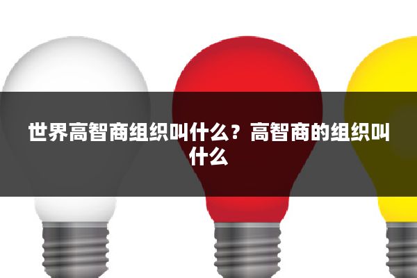 世界高智商组织叫什么?高智商的组织叫什么