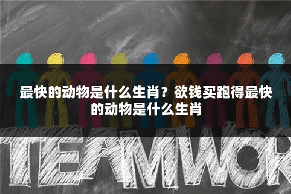 最快的动物是什么生肖?欲钱买跑得最快的动物是什么生肖
