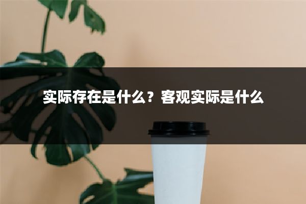 实际存在是什么？客观实际是什么