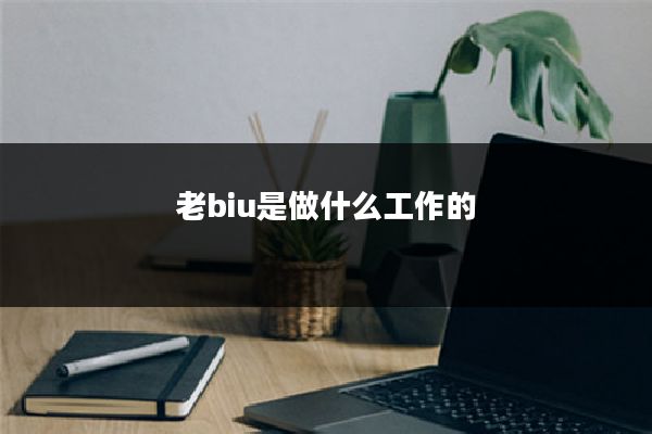 老biu是做什么工作的