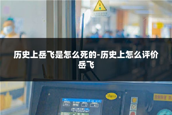 历史上岳飞是怎么死的-历史上怎么评价岳飞