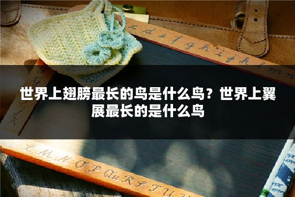 世界上翅膀最长的鸟是什么鸟?世界上翼展最长的是什么鸟
