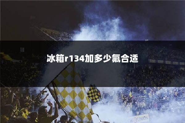 冰箱r134加多少氟合适