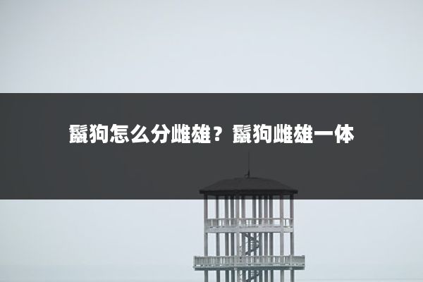 鬣狗怎么分雌雄？鬣狗雌雄一体