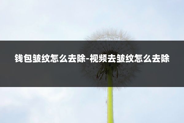 钱包皱纹怎么去除-视频去皱纹怎么去除