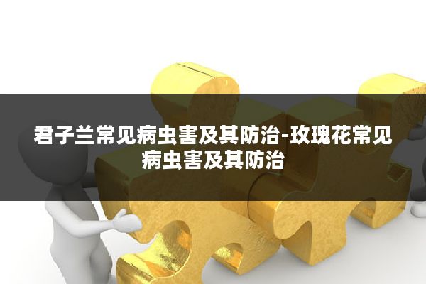 君子兰常见病虫害及其防治-玫瑰花常见病虫害及其防治