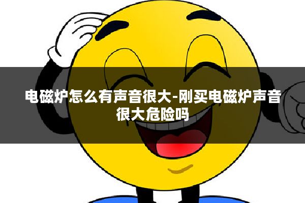 电磁炉怎么有声音很大-刚买电磁炉声音很大危险吗