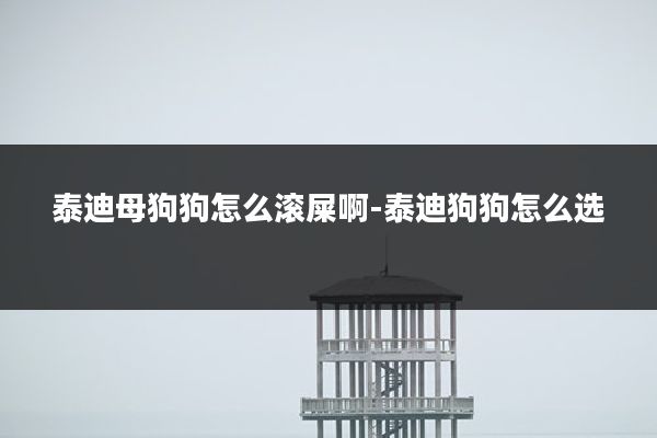 泰迪母狗狗怎么滚屎啊-泰迪狗狗怎么选