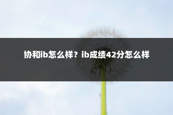 协和ib怎么样?ib成绩42分怎么样