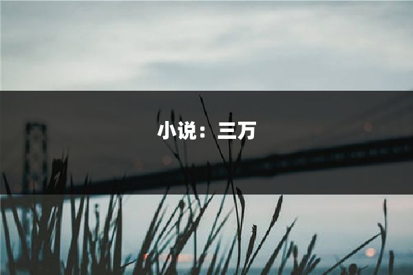 小说：三万