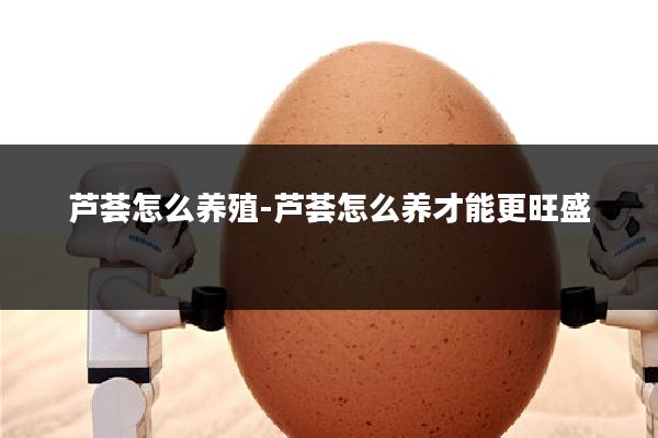 芦荟怎么养殖-芦荟怎么养才能更旺盛