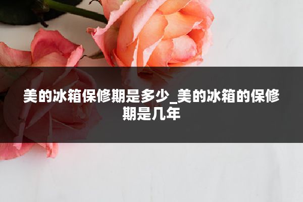 美的冰箱保修期是多少_美的冰箱的保修期是几年