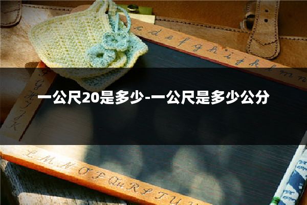 一公尺20是多少-一公尺是多少公分