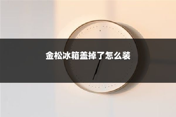 金松冰箱盖掉了怎么装