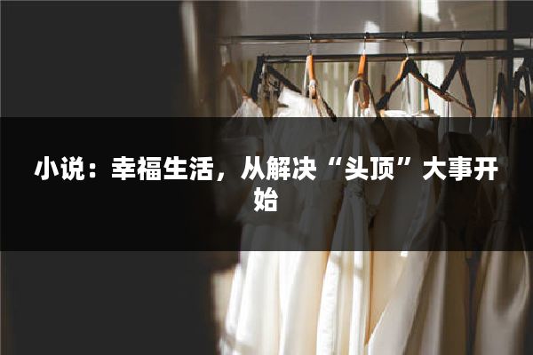 小说：幸福生活，从解决“头顶”大事开始