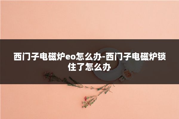 西门子电磁炉eo怎么办-西门子电磁炉锁住了怎么办