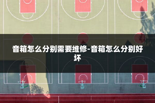 音箱怎么分别需要维修-音箱怎么分别好坏