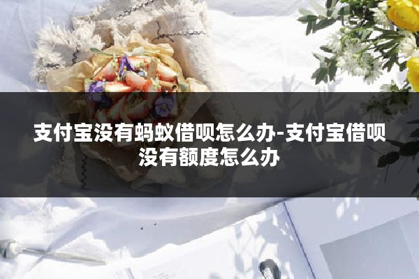 支付宝没有蚂蚁借呗怎么办-支付宝借呗没有额度怎么办